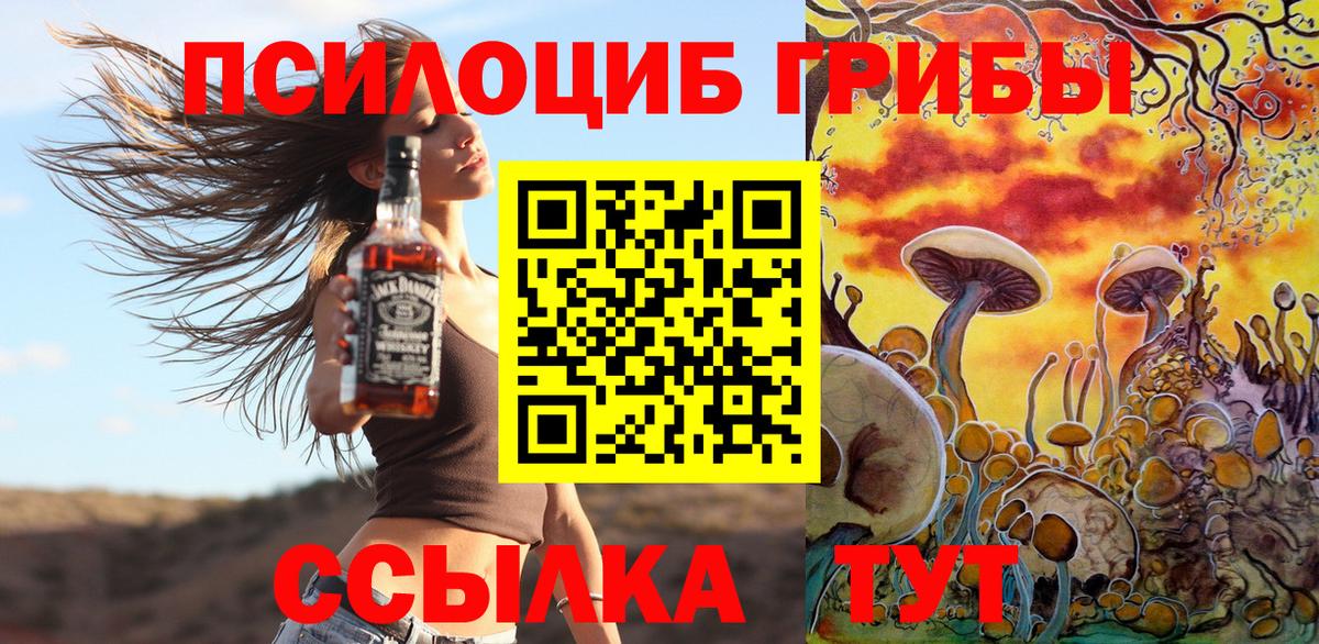 Псилоцибиновые грибы мухоморы Владивосток