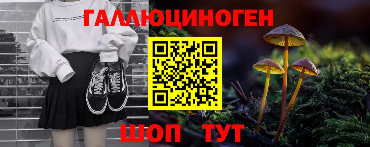 Владивосток  Псилоцибиновые грибы Psilocybe  Вход с VPN  Псилоцибиновые грибы Cubensis 